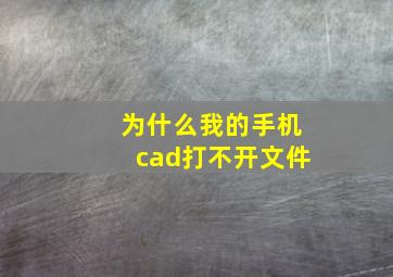 为什么我的手机cad打不开文件