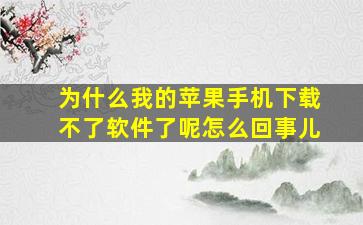 为什么我的苹果手机下载不了软件了呢怎么回事儿