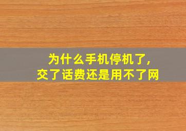 为什么手机停机了,交了话费还是用不了网