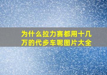 为什么拉力赛都用十几万的代步车呢图片大全