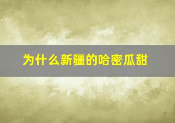 为什么新疆的哈密瓜甜