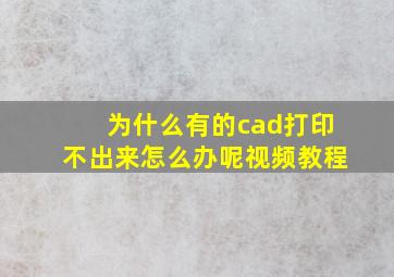 为什么有的cad打印不出来怎么办呢视频教程