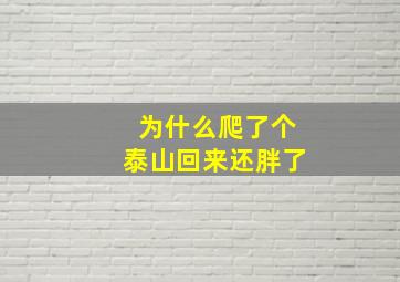 为什么爬了个泰山回来还胖了