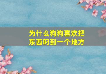 为什么狗狗喜欢把东西叼到一个地方