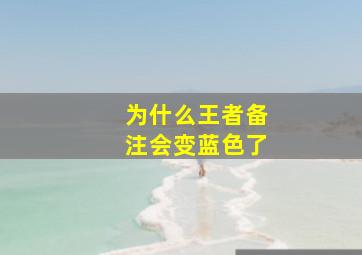 为什么王者备注会变蓝色了