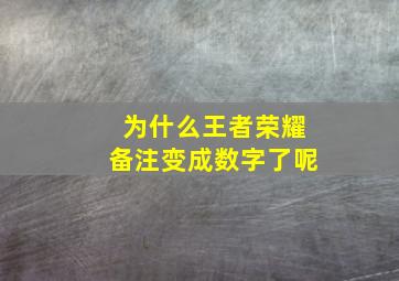 为什么王者荣耀备注变成数字了呢