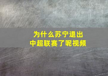 为什么苏宁退出中超联赛了呢视频