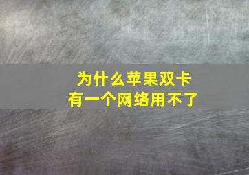 为什么苹果双卡有一个网络用不了