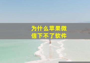 为什么苹果微信下不了软件