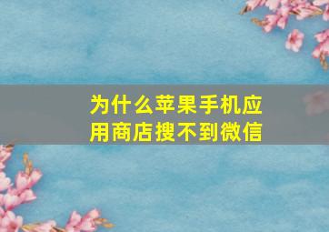 为什么苹果手机应用商店搜不到微信