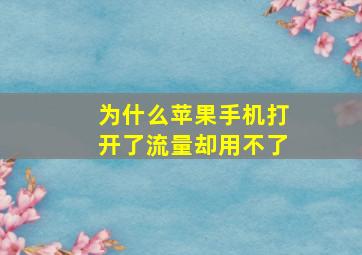 为什么苹果手机打开了流量却用不了