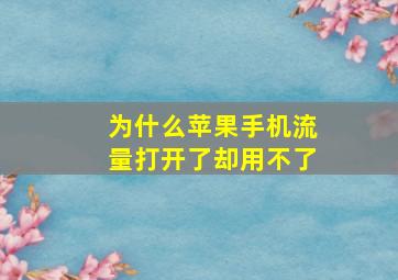 为什么苹果手机流量打开了却用不了