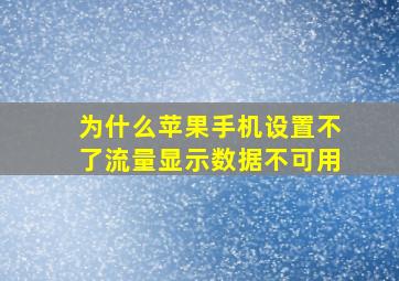 为什么苹果手机设置不了流量显示数据不可用