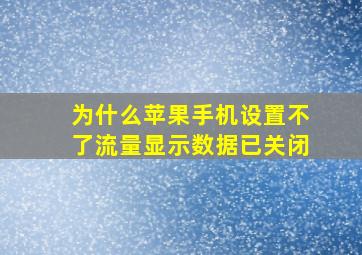 为什么苹果手机设置不了流量显示数据已关闭