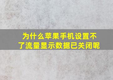 为什么苹果手机设置不了流量显示数据已关闭呢