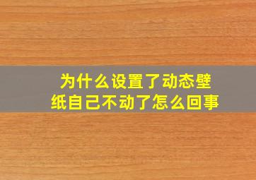 为什么设置了动态壁纸自己不动了怎么回事