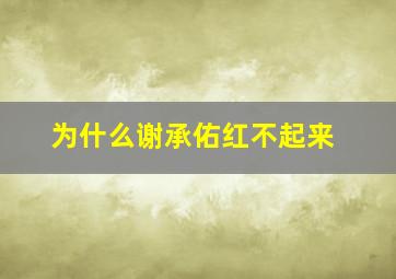 为什么谢承佑红不起来