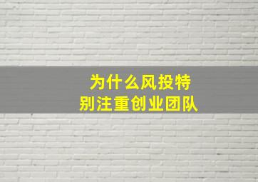 为什么风投特别注重创业团队