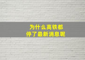 为什么高铁都停了最新消息呢