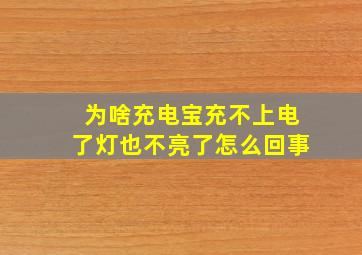 为啥充电宝充不上电了灯也不亮了怎么回事