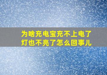 为啥充电宝充不上电了灯也不亮了怎么回事儿