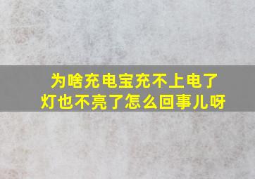 为啥充电宝充不上电了灯也不亮了怎么回事儿呀