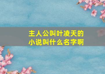 主人公叫叶凌天的小说叫什么名字啊