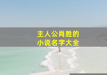 主人公肖胜的小说名字大全