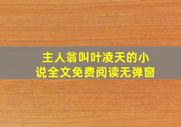 主人翁叫叶凌天的小说全文免费阅读无弹窗