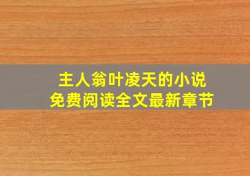 主人翁叶凌天的小说免费阅读全文最新章节