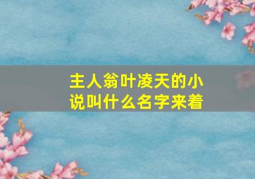 主人翁叶凌天的小说叫什么名字来着