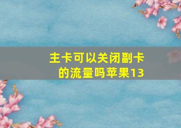 主卡可以关闭副卡的流量吗苹果13