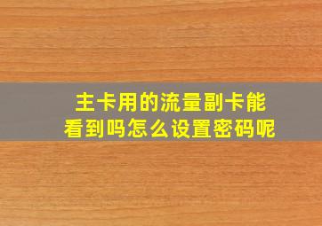 主卡用的流量副卡能看到吗怎么设置密码呢