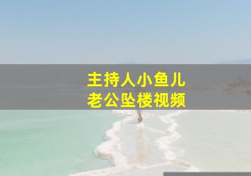 主持人小鱼儿老公坠楼视频