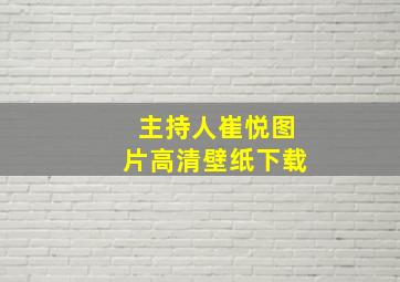 主持人崔悦图片高清壁纸下载