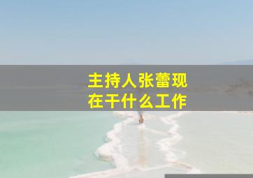 主持人张蕾现在干什么工作