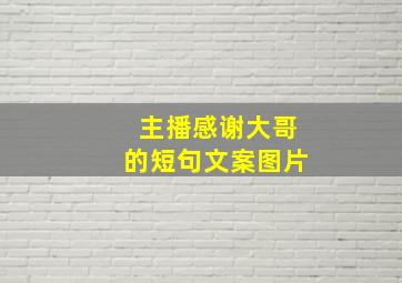 主播感谢大哥的短句文案图片