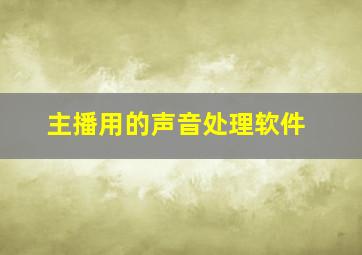 主播用的声音处理软件