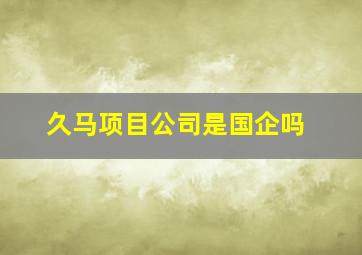 久马项目公司是国企吗