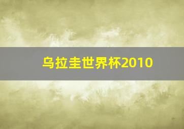 乌拉圭世界杯2010