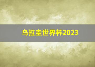 乌拉圭世界杯2023