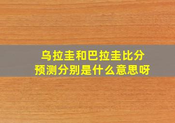 乌拉圭和巴拉圭比分预测分别是什么意思呀