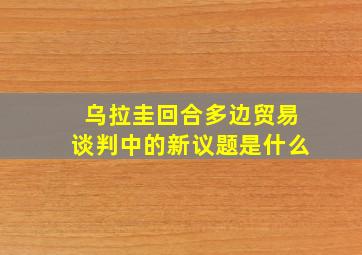 乌拉圭回合多边贸易谈判中的新议题是什么