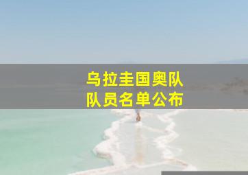 乌拉圭国奥队队员名单公布