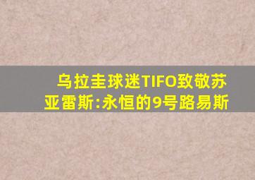 乌拉圭球迷TIFO致敬苏亚雷斯:永恒的9号路易斯