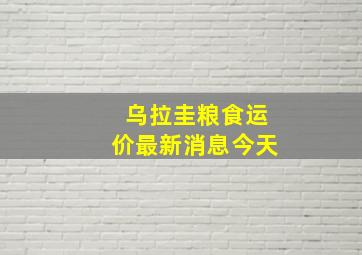 乌拉圭粮食运价最新消息今天