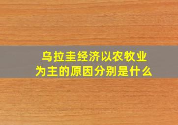 乌拉圭经济以农牧业为主的原因分别是什么