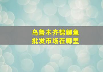 乌鲁木齐锦鲤鱼批发市场在哪里