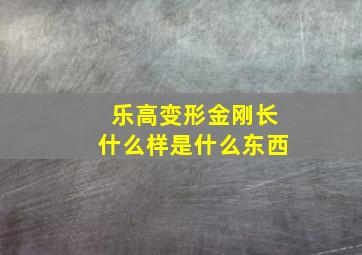 乐高变形金刚长什么样是什么东西