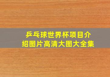 乒乓球世界杯项目介绍图片高清大图大全集